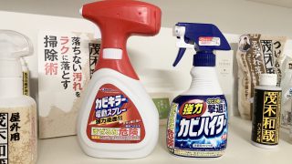 クロス壁や畳など強力カビハイターやカビキラーが使えない浴室以外のカビの落とし方 茂木和哉のブログ 公式