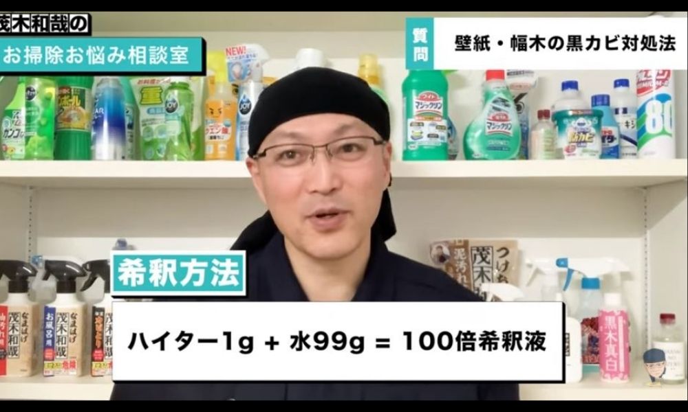 黒カビ 賃貸アパートの壁紙と幅木のカビを簡単除去するラクラクお掃除法 茂木和哉のブログ 公式