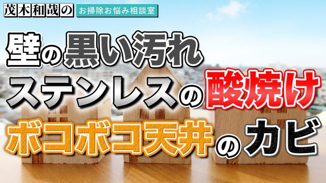 シミ抜き 壁紙 布クロスについた赤ワインのシミを落とす方法 掃除術 茂木和哉のブログ 公式