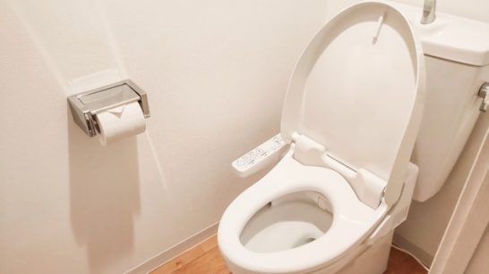 目立つ色汚れ 便座裏のピンク色汚れ ドライフラワーの色移り汚れ落とし術 掃除術 茂木和哉のブログ 公式