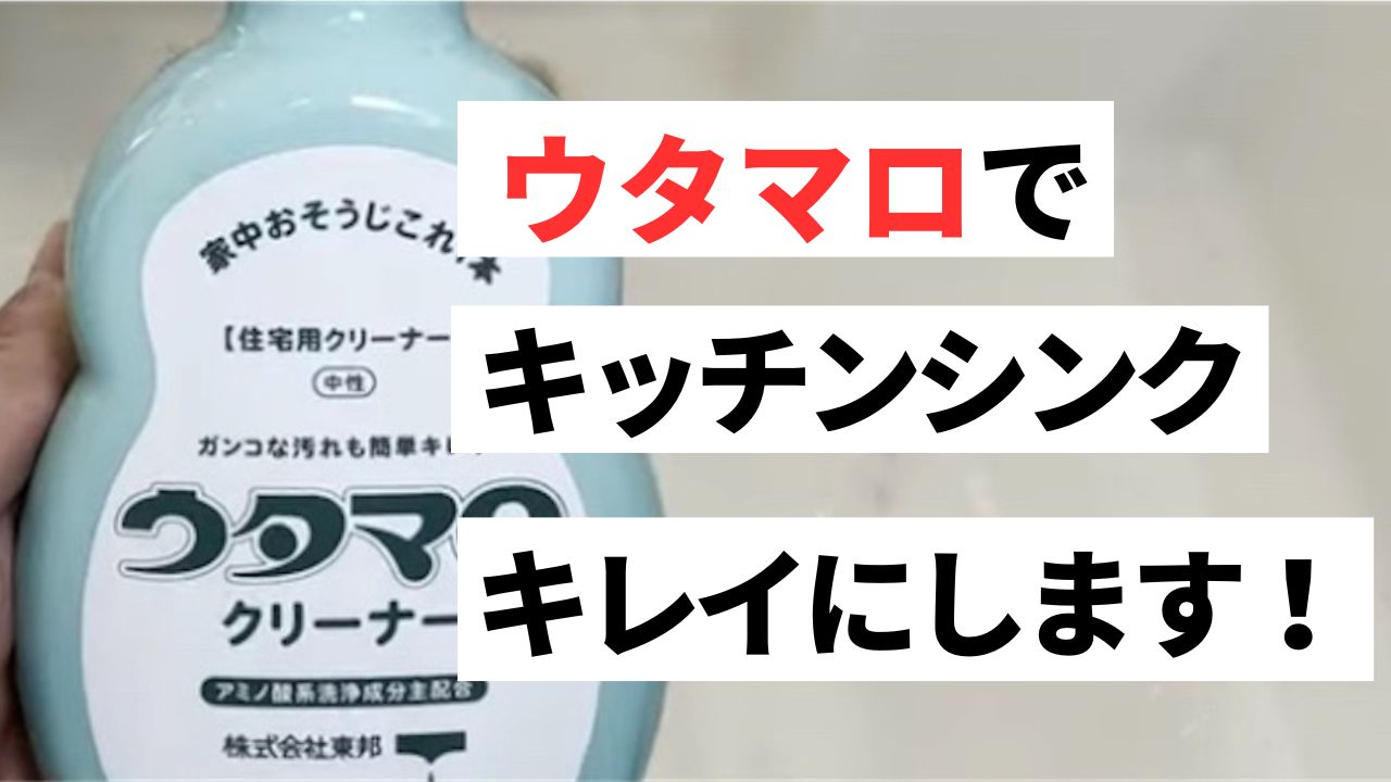 水だけでも汚れが落ちやすい シンク洗いタワシ(1コ入)
