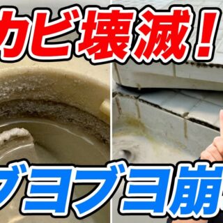 1年間お風呂の『塩素』をCutするディスク 1年間お風呂の『塩素』をCutするディスク