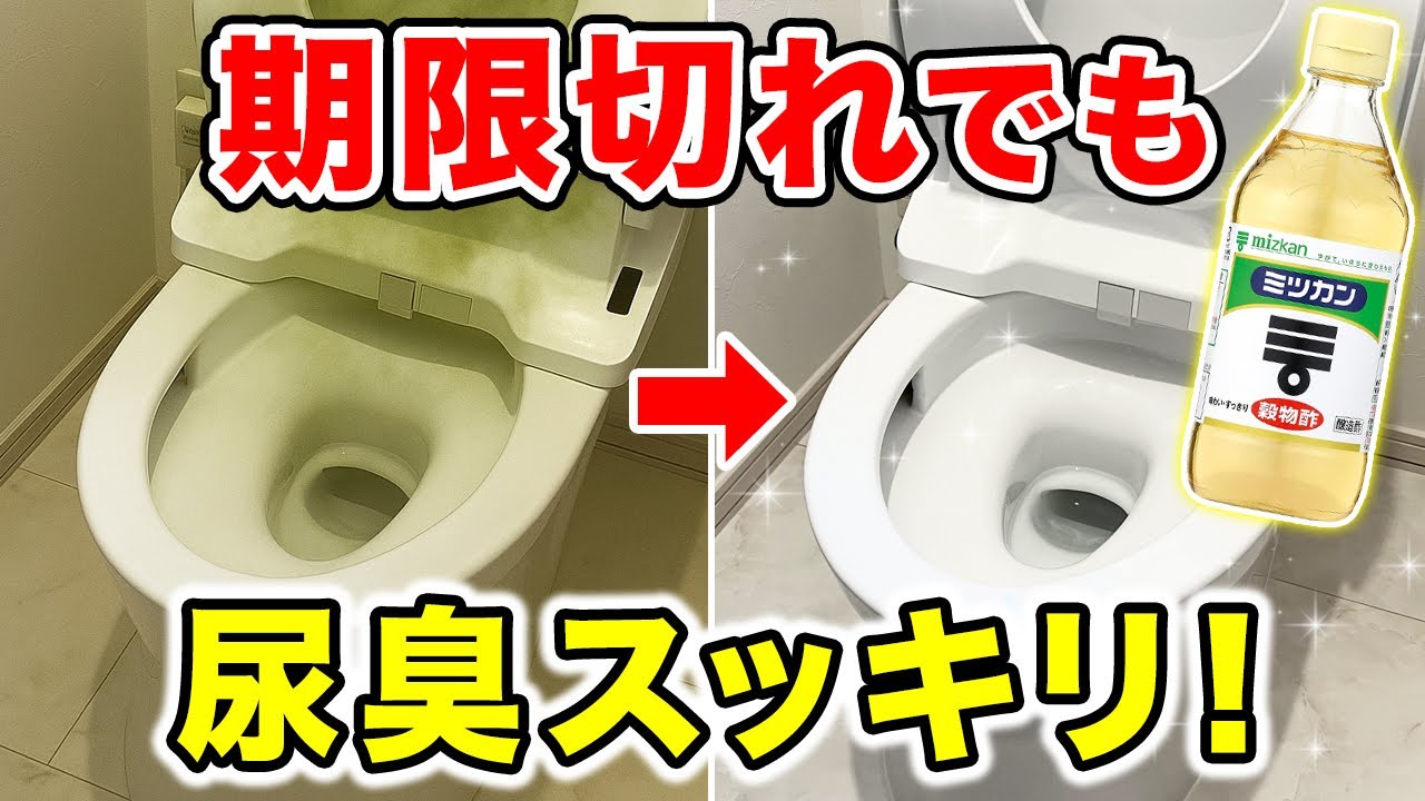 洗剤いらず？お酢でできるトイレ掃除の方法と注意点まとめ
